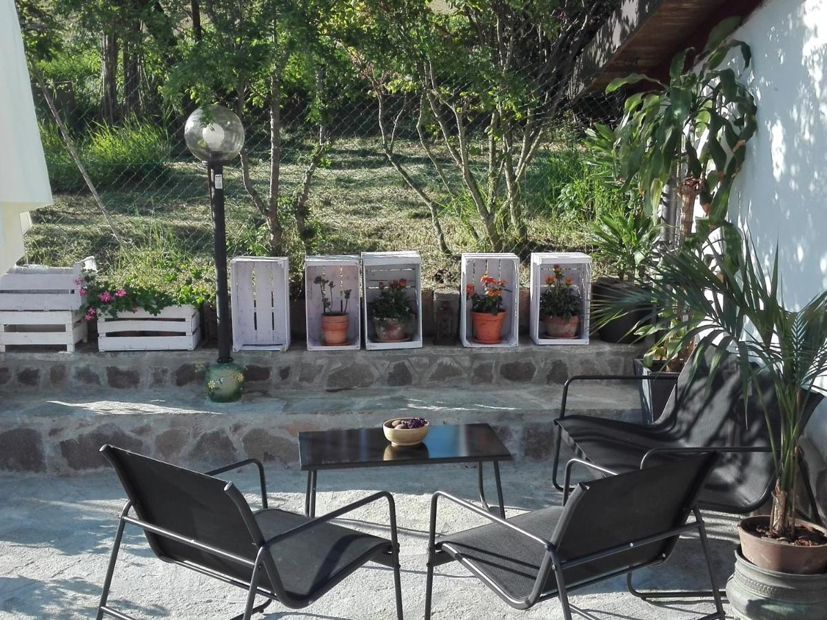 Apartmán La Casa Nel Sole Alexandrie Exteriér fotografie